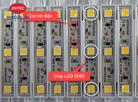 Chip Led loại nào tốt