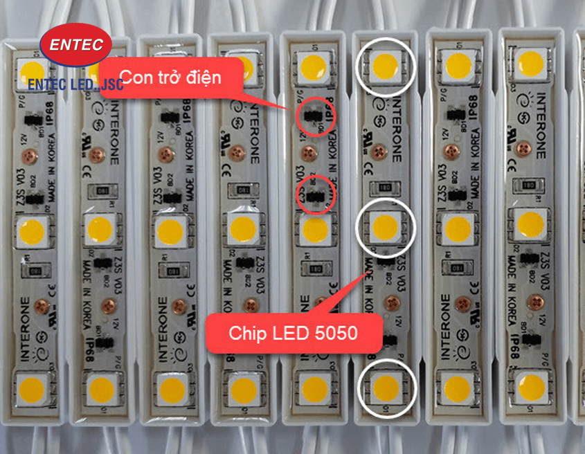 Chip Led loại nào tốt