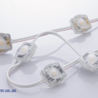 Đèn Led dây 1 bóng Interone