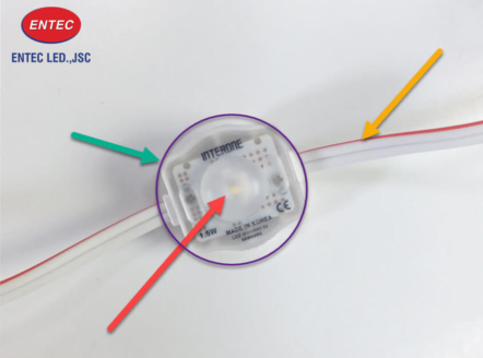 Đèn Led dây siêu sáng 12v