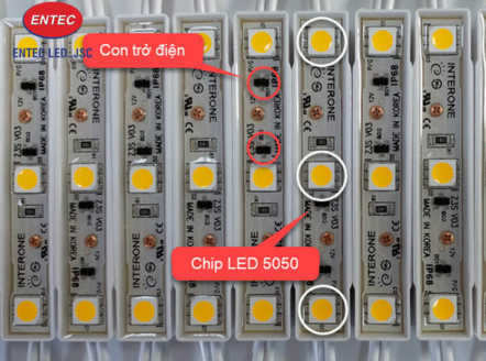 Đèn Led hắt cụm 3 bóng