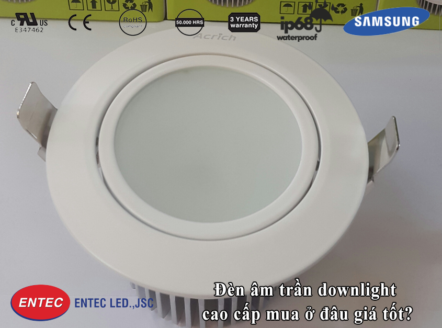 Đèn Led âm trần Dowlight