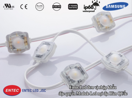 Đơn vị cung cấp đèn Led