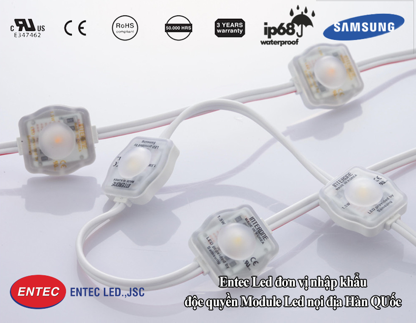 Đơn vị cung cấp đèn Led