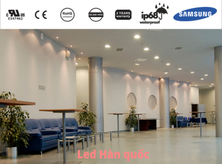Khám phá dẫn tới quyết định sử dụng đèn LED Downlight