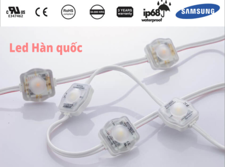 Led trang trí viền