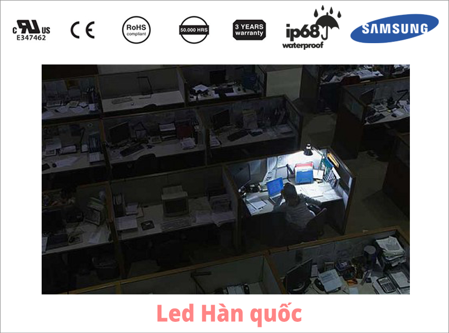 Ánh sáng liên quan tới sự tập trung làm việc hiệu quả
