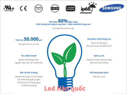 Cách đọc nhãn của các sản phẩm chiếu sáng