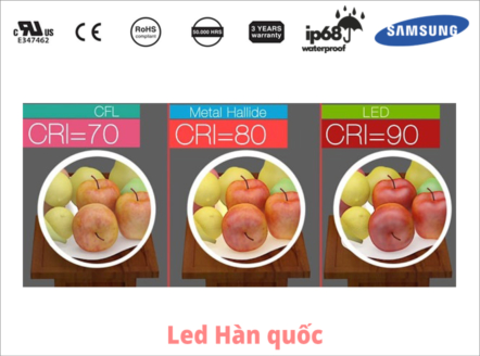 Chỉ số kết xuất màu là gì? Lựa chọn ứng dụng phù hợp