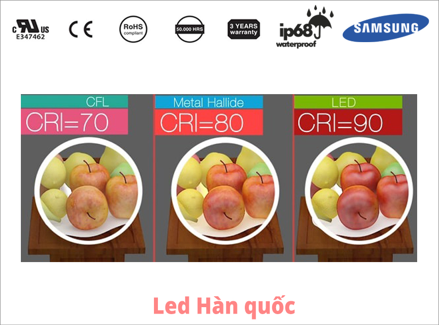 Chỉ số kết xuất màu là gì? Lựa chọn ứng dụng phù hợp