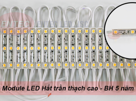 Và một số yếu tố để bạn cân nhắc sử dụng đèn hắt trần thạch cao được chia sẻ từ thương hiệu interone led Hàn Quốc hi vọng sẽ giúp ích cho bạn.