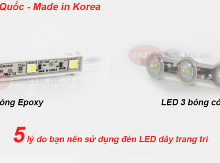 Hiện nay cả không gian ngoại thất và nội thất đều cần được trang trí để tăng thêm nét đẹp và ấn tượng cho không gian và để chiếu sáng trang trí thì đèn LED dây chính là sự lựa chọn tuyệt vời nhất.
