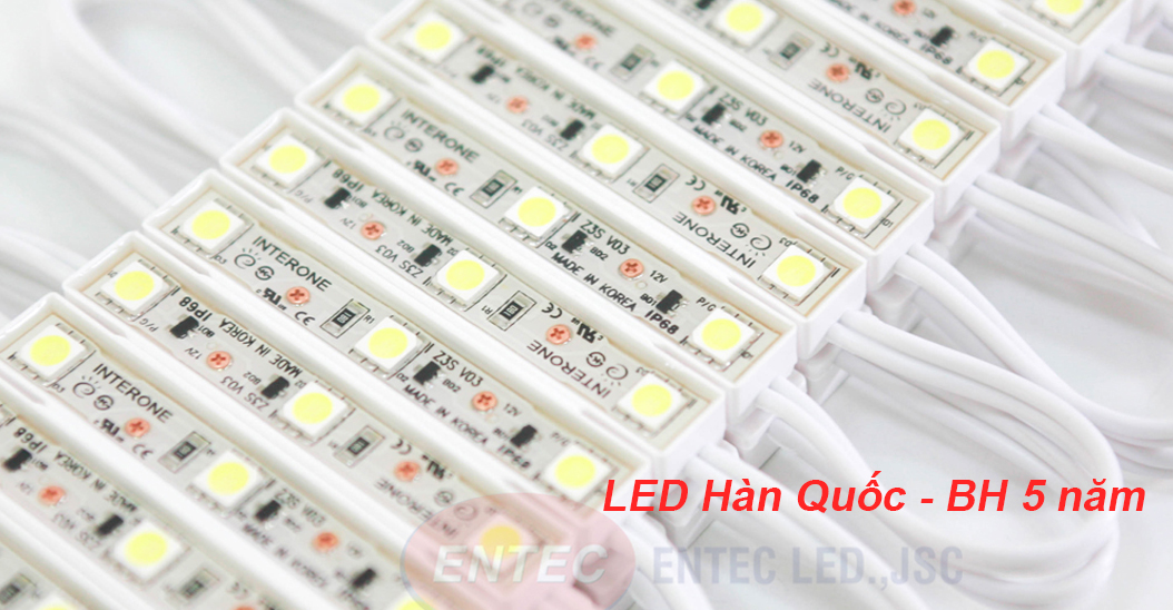 Với sự phát triển và đổi mới công nghệ, ngành công nghiệp chiếu sáng không đơn thuần chỉ là những bóng đèn như: đèn LED Downlight, đèn LED Panel, đèn LED Tube,… bên cạnh đó còn xuất hiện đèn LED trang trí được nhiều người dùng đưa vào trang trí nội thất và ngoại thất.