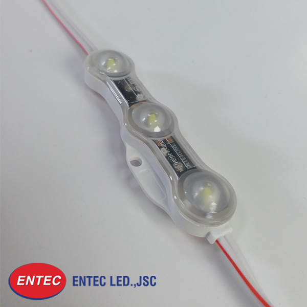 LED nội địa Hàn Quốc và những điều bạn chưa biết
