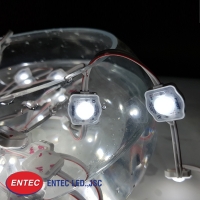 Đèn Led có khả năng chống nước nên được ứng dụng vào rất nhiều công trình