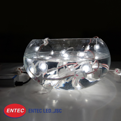 Module LED 1 bóng có len với khả năng chống nước tuyệt đối