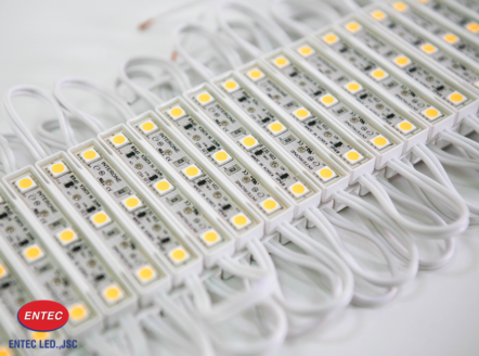 black-entecday-mua-10-tang-1-toan-bo-san-pham