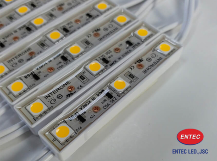 Đèn Led trang trí 3 bóng