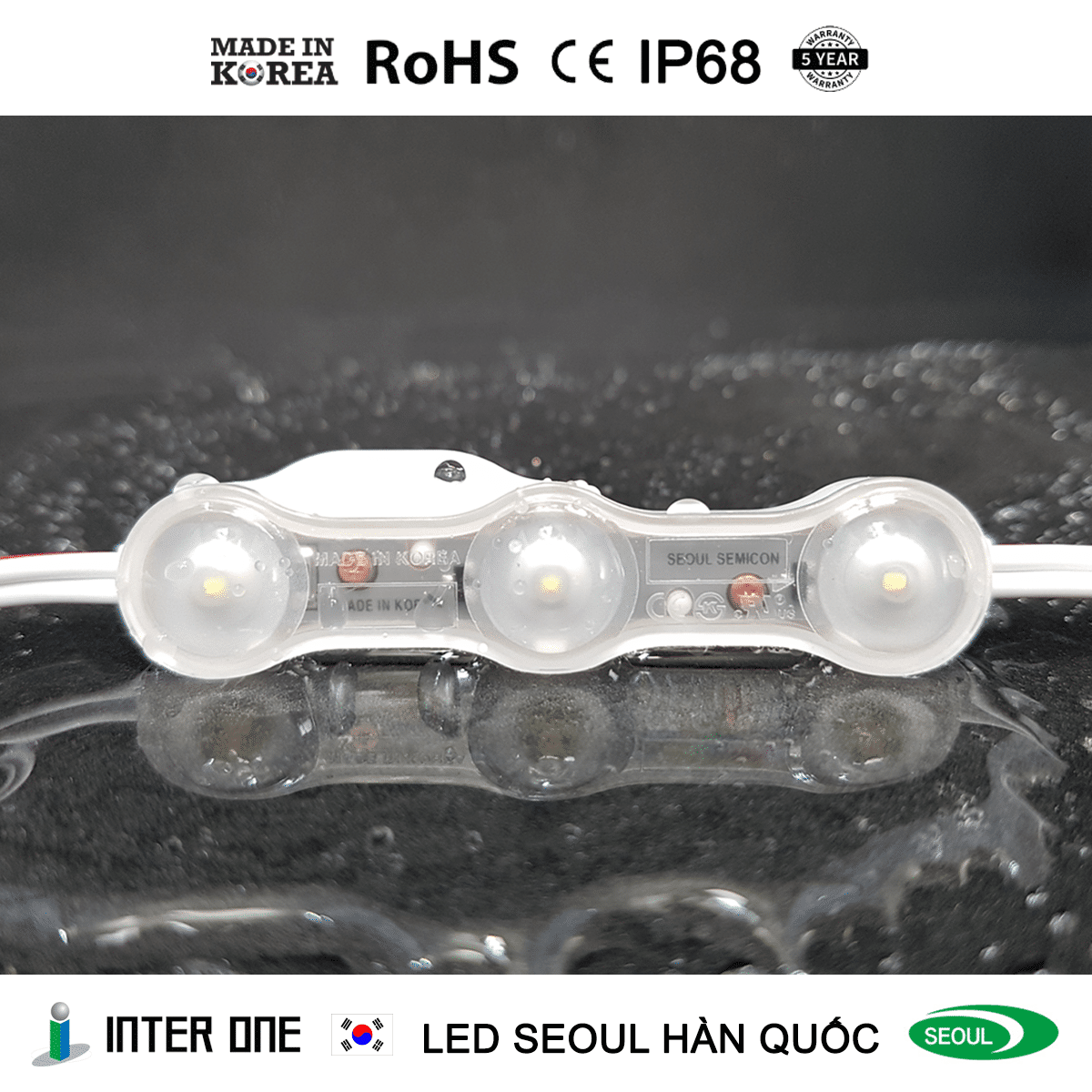 LED chống nước biển đầu tiên trên thế giới Seoul LED