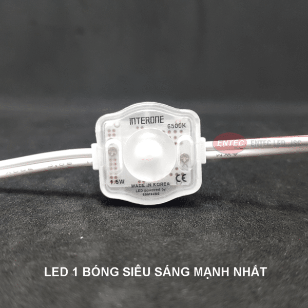 LED1BONG