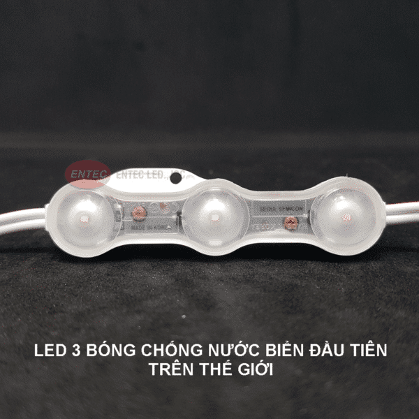 LED3BONG